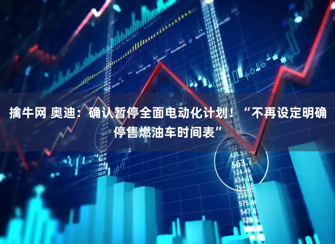 擒牛网 奥迪：确认暂停全面电动化计划！“不再设定明确停售燃油车时间表”