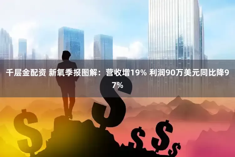 千层金配资 新氧季报图解：营收增19% 利润90万美元同比降97%