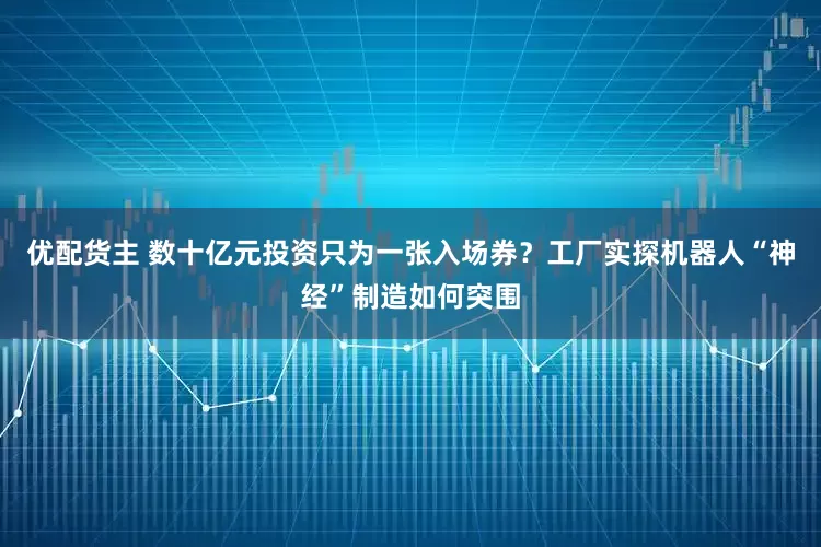 优配货主 数十亿元投资只为一张入场券？工厂实探机器人“神经”制造如何突围