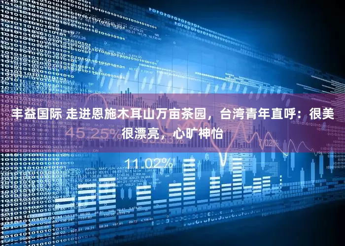 丰益国际 走进恩施木耳山万亩茶园，台湾青年直呼：很美很漂亮，心旷神怡