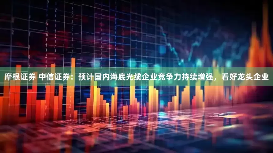 摩根证券 中信证券：预计国内海底光缆企业竞争力持续增强，看好龙头企业